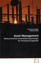 Johannes Puschitz, Puschitz Johannes - Asset Management