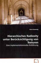 Sören Kewenig, Kewenig Sören - Hierarchisches Radiosity unter Berücksichtigung von Texturen