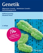JANNIN, Wilfrie Janning, Wilfried Janning, Knust, Elisabeth Knust - Genetik
