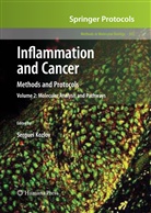 Serguei V Kozlov, Serguei V. Kozlov, Sergue V Kozlov, Serguei V Kozlov - Inflammation and Cancer