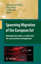 J Cliff Rankin, Sylvi Dufour, Sylvie Dufour, J. Cliff Rankin, Guido van den Thillart, Guido van den Thillart - Spawning Migration of the European Eel