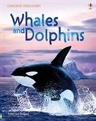 Susannah Davidson - Whales and Dolphins