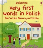 Felicity Brooks, Brooks Felicity, Jo Litchfield - Very First Words in Polish