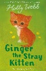 Holly Webb, Webb Holly, Sophy Williams, Williams Sophy - Ginger the Stray Kitten