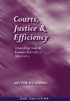 Hector Fix Fierro, Hector Fix-Fierro, Fix-Fierro Hector - Courts, Justice, and Efficiency