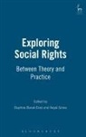 Daphne Barak-Erez, Daphne Gross Barak-Erez, Aeyal Gross, Daphne Barak-Erez, Barak-Erez Daphne, Aeyal Gross... - Exploring Social Rights