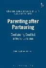 Mavis Maclean, Rosemary Hunter, Mavis Maclean, David Nelken - Parenting after Partnering