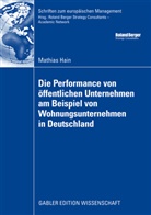 Mathias Hain - Die Performance von öffentlichen Unternehmen am Beispiel von Wohnungsunternehmen in Deutschland