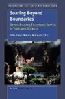 R. O. Mabokela - Soaring Beyond Boundaries: Women Breaking Educational Barriers in Traditional Societies
