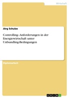 Jörg Schulze - Controlling-Anforderungen in der Energiewirtschaft unter Unbundling-Bedingungen