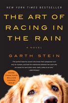 Garth Stein - The Art of Racing in the Rain