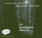 Adalbert Stifter, Christian Brückner - Der beschriebene Tännling, 2 Audio-CDs (Hörbuch)