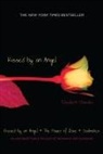 Elizabeth Chandler - Kissed by an Angel/ the Power of Love/ Soulmates