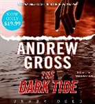 Andrew Gross, Andrew/ Leo Gross, Melissa Leo, Melissa Leo - The Dark Tide