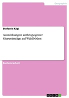 Stefanie Kägi - Auswirkungen anthropogener Säureeinträge auf Waldböden