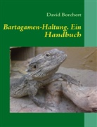 David Borchert - Bartagamen-Haltung