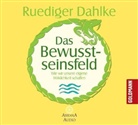 Rüdiger Dahlke - Das Bewusstseinsfeld, 1 Audio-CD (Audio book)