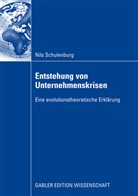 Nils Schulenburg - Entstehung von Unternehmenskrisen