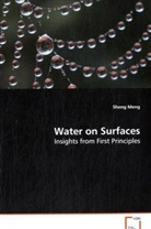 Sheng Meng, Meng Sheng - Water on Surfaces
