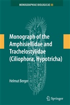 Helmut Berger - Monograph of the Amphisiellidae and Trachelostylidae (Ciliophora, Hypotricha)