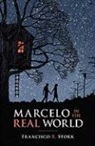 Francisco Stork, Francisco X. Stork - Marcelo in the Real World