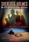 Citrin, Michael Citrin, Mac, MACK, Tracy Mack - The Fall of the Amazing Zalindas
