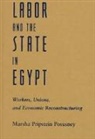 Marsha Pripstein Posusney - Labor and the State in Egypt