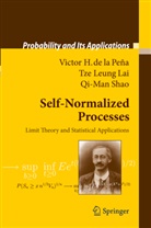 Tze Leun Lai, Tze Leung Lai, Victor Peña, Victor H Peña, Victor H. Peña, Victor H. de la Peña... - Self-Normalized Processes