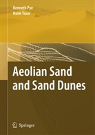 Kennet Pye, Kenneth Pye, Haim Tsoar, Kenneth Pye, Haim Tsoar - Aeolian Sand and Sand Dunes