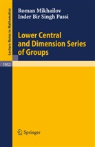 Roma Mikhailov, Roman Mikhailov, Inder Bir S. Passi, Inder Bir Singh Passi - Lower Central and Dimension Series of Groups