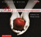 Ulrike Grote, Stephenie Meyer, Ulrike Grote - Bis(s)/Biss zum Morgengrauen (Audiolibro)