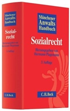 Hermann Plagemann - Münchener AnwaltsHandbuch Sozialrecht