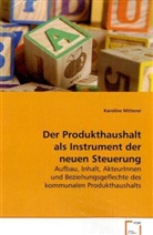Karoline Mitterer, Mitterer Karoline - Der Produkthaushalt als Instrument der neuen Steuerung