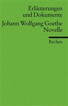 Johann Wolfgang von Goethe, Christian Wagenknecht - Johann Wolfgang Goethe 'Novelle'