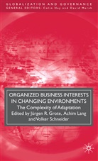 Jurgen R. Lang Grote, J. Grote, Jurgen R. Grote, Lang, A Lang, A. Lang... - Organized Business Interests in Changing Environments