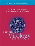 L. W. Enquist, Lynn W. Enquist, S. J. Flint, S. J./ Enquist Flint, S. Jane Flint, V. R. Racaniello... - Principles of Virology 3rd Edition