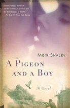 Meir Shalev - A Pigeon and a Boy