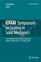 F M Borodich, F. Borodich, F. M. Borodich, Feodor M. Borodich, M Borodich, F M Borodich - IUTAM Symposium on Scaling in Solid Mechanics