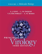 L. W. Enquist, Lynn W. Enquist, S. J. Flint, S. J./ Enquist Flint, S. Jane Flint, V. R. Racaniello... - Principles of Virology