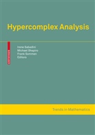 Irene Sabadini, Michael Shapiro, Irene Sabadini, Irene (Hrsg.) Sabadini, Michae Shapiro, Michael Shapiro... - Hypercomplex Analysis