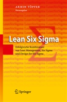 Armi Töpfer, Armin Töpfer - Lean Six Sigma