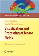 Davi H Laidlaw, David H Laidlaw, David Laidlaw, David H. Laidlaw, Weickert, Weickert... - Visualization and Processing of Tensor Fields