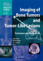 A. M. Davies, A. Mark Davies, Steven J James, S. L. J. James, Steven J. James, M. Sundaram... - Diagnostic Imaging: Imaging of Bone Tumors and Tumor-Like Lesions
