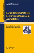 Alice Guionnet - Large Random Matrices: Lectures on Macroscopic Asymptotics
