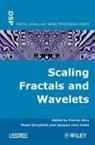 Abry, P Abry, Patrice Abry, Fractales Et Ondelettes Lois D'Echelle, Patrice Abry, Paolo Goncalves... - SCALING FRACTALS AND WAVELETS
