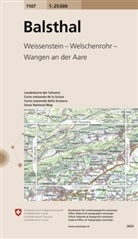 Bundesamt für Landestopografie swisstopo - Balstahl
