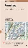 Bundesamt für Landestopografie swisstopo, Bundesam für Landestopografie swisstopo, Bundesamt für Landestopografie swisstopo - Amsteg