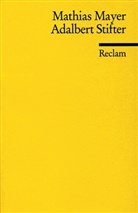 Mathias Mayer - Adalbert Stifter