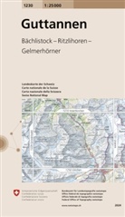 Bundesamt für Landestopografie swisstopo - Guttannen