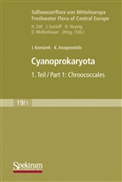 Konstantinos Anagnostidis, Jiri Komarek, Ji¿í Komárek, Jiri Komárek, Jirí Komárek - Süßwasserflora von Mitteleuropa - 19/1: Cyanoprokaryota. Chroococcales. Tl.1